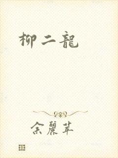 柳二龙