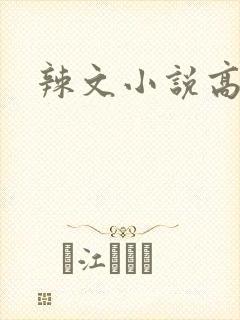辣文小说高h封面