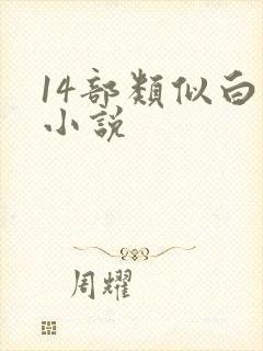 14部类似白洁小说封面