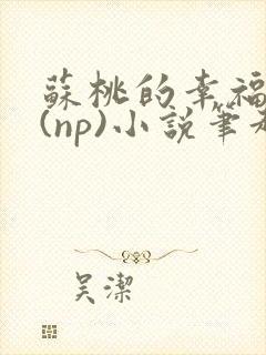 苏桃的幸福生活(np)小说笔趣阁