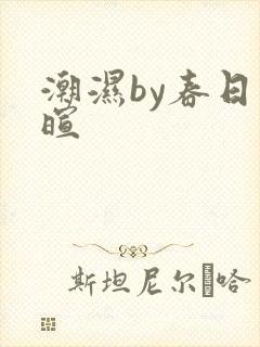 潮湿by春日负暄封面