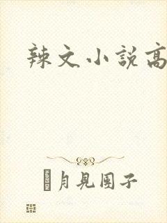 辣文小说高h