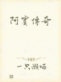 阿宾传奇封面