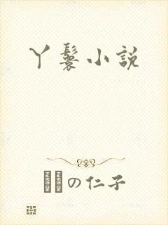 丫鬟小说