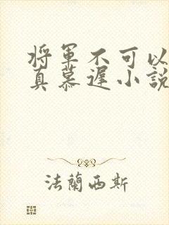 将军不可以魏云真慕迟小说笔趣阁