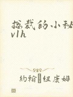 总裁的小秘书1v1h