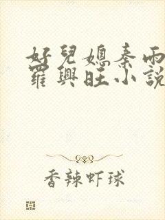 好儿媳秦雨罗明罗兴旺小说封面