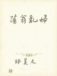 荡翁乱妇