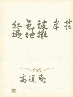 红色彼岸花花瓣遍地撒