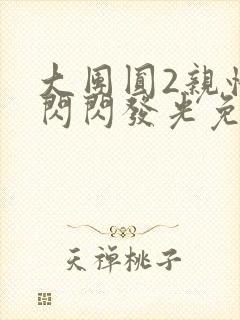 大团圆2亲情会闪闪发光免费