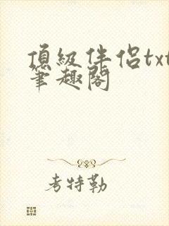 顶级伴侣txt笔趣阁