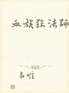 血族狂法师封面