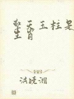 擎天玉柱是什么生肖