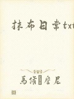 抹布日常txt封面