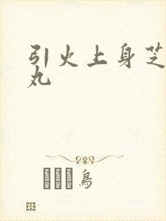 引火上身芝麻糖丸