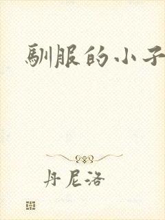 驯服的小子4