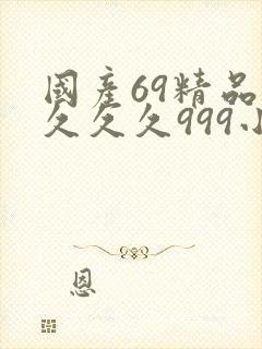 国产69精品久久久久999小说