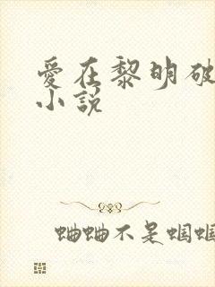 爱在黎明破晓前小说