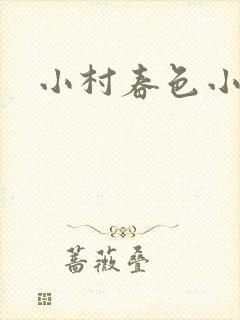 小村春色小说