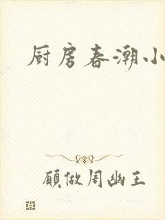 厨房春潮小说