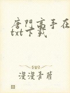 唐门高手在异世txt下载