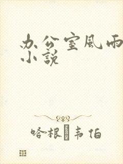 办公室风雨完整小说