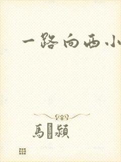 一路向西小说
