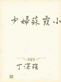 少妇苏霞小说