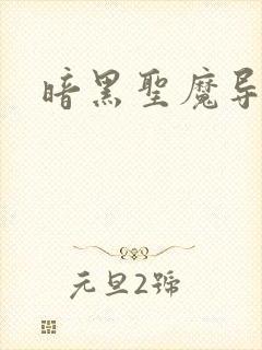 暗黑圣魔导