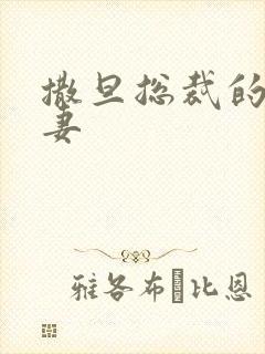 撒旦总裁的下堂妻