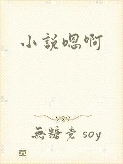小说嗯啊
