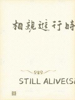 相亲进行时封面
