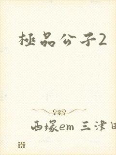 极品公子2