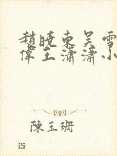 赵晓东吴雪晴郑伟王潇潇小说名字