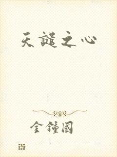 天谴之心封面