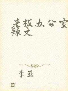 老板办公室系列辣文