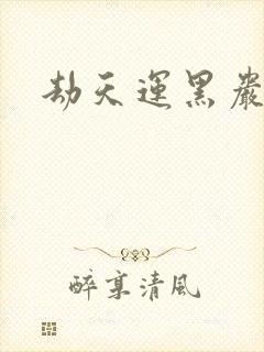 劫天运黑岩