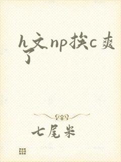 h文np挨c爽了