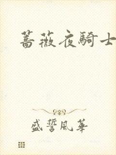 蔷薇夜骑士封面