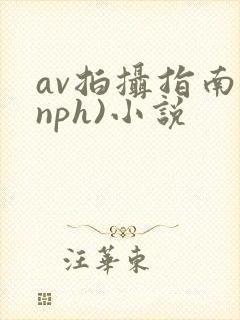 av拍摄指南(nph)小说封面