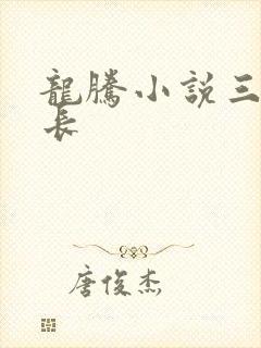 龙腾小说三宝局长