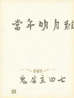 当年明月难寻封面