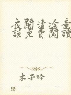 夜阑清冷意欢小说免费阅读