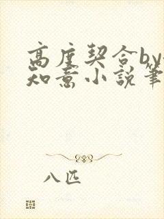 高度契合by洛知意小说笔趣阁无弹窗封面