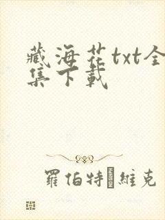 藏海花txt全集下载封面