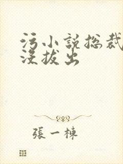 污小说总裁整夜没拔出