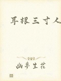 耳根三寸人间