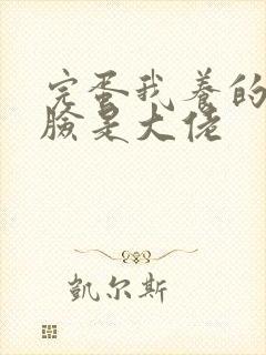 完蛋我养的小白脸是大佬封面