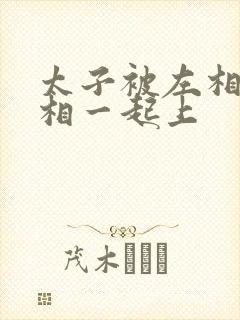 太子被左相和右相一起上