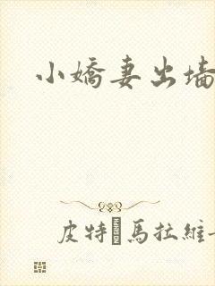 小娇妻出墙记